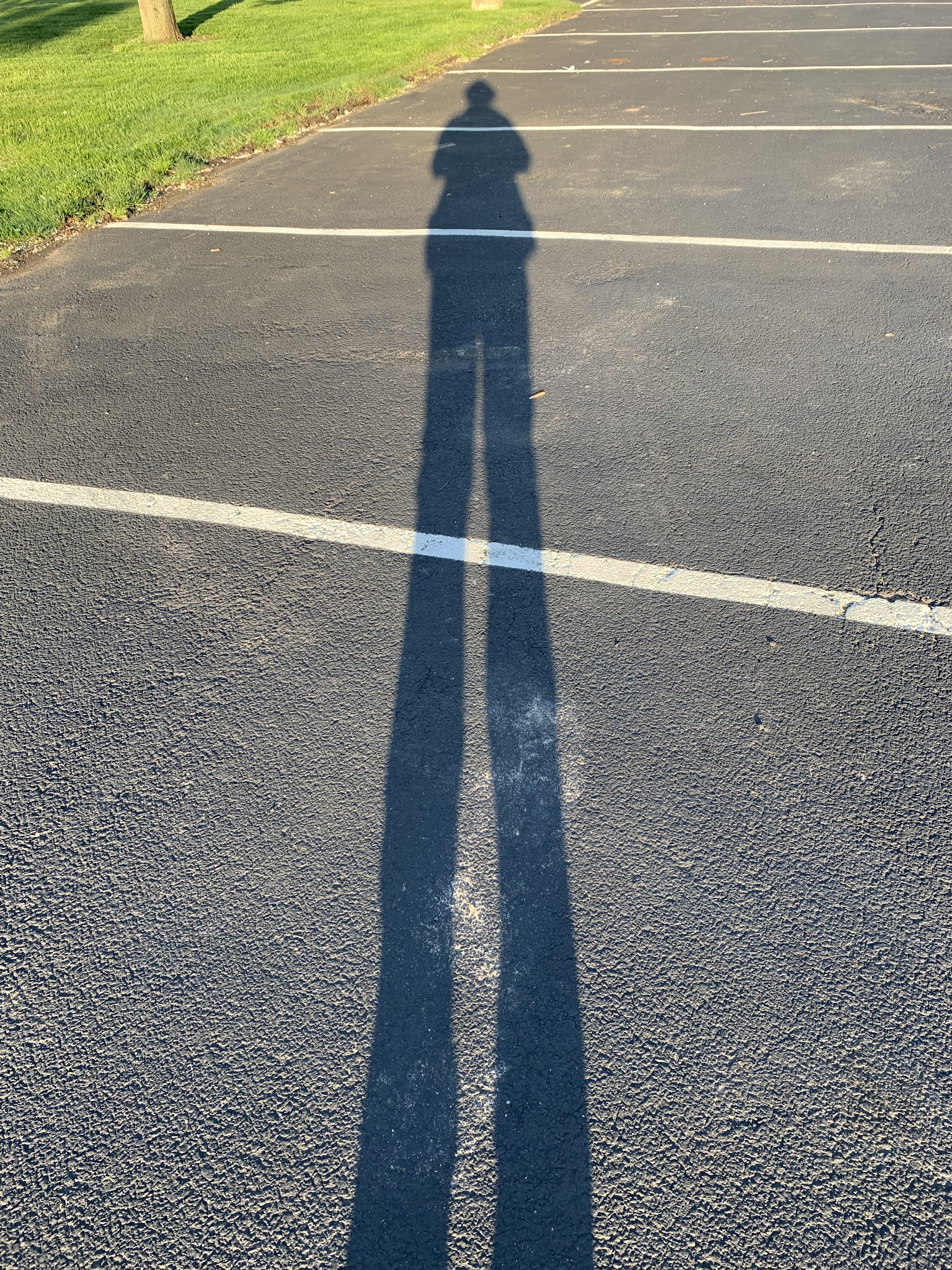 My what long legs you have