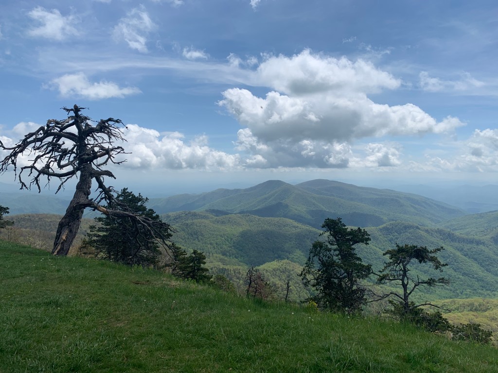 Gratuitous landscape 