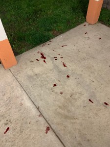 Blood on the streets