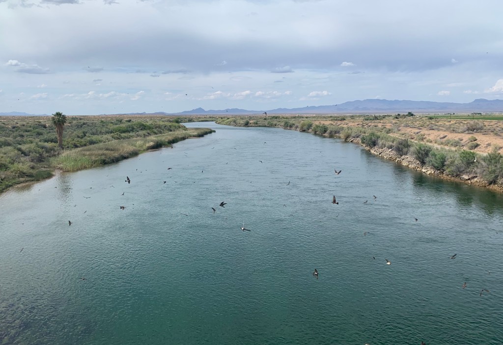 The birds came out from under the bridge as the Guzzi thundered above