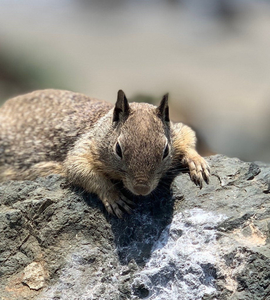 Time for his close up