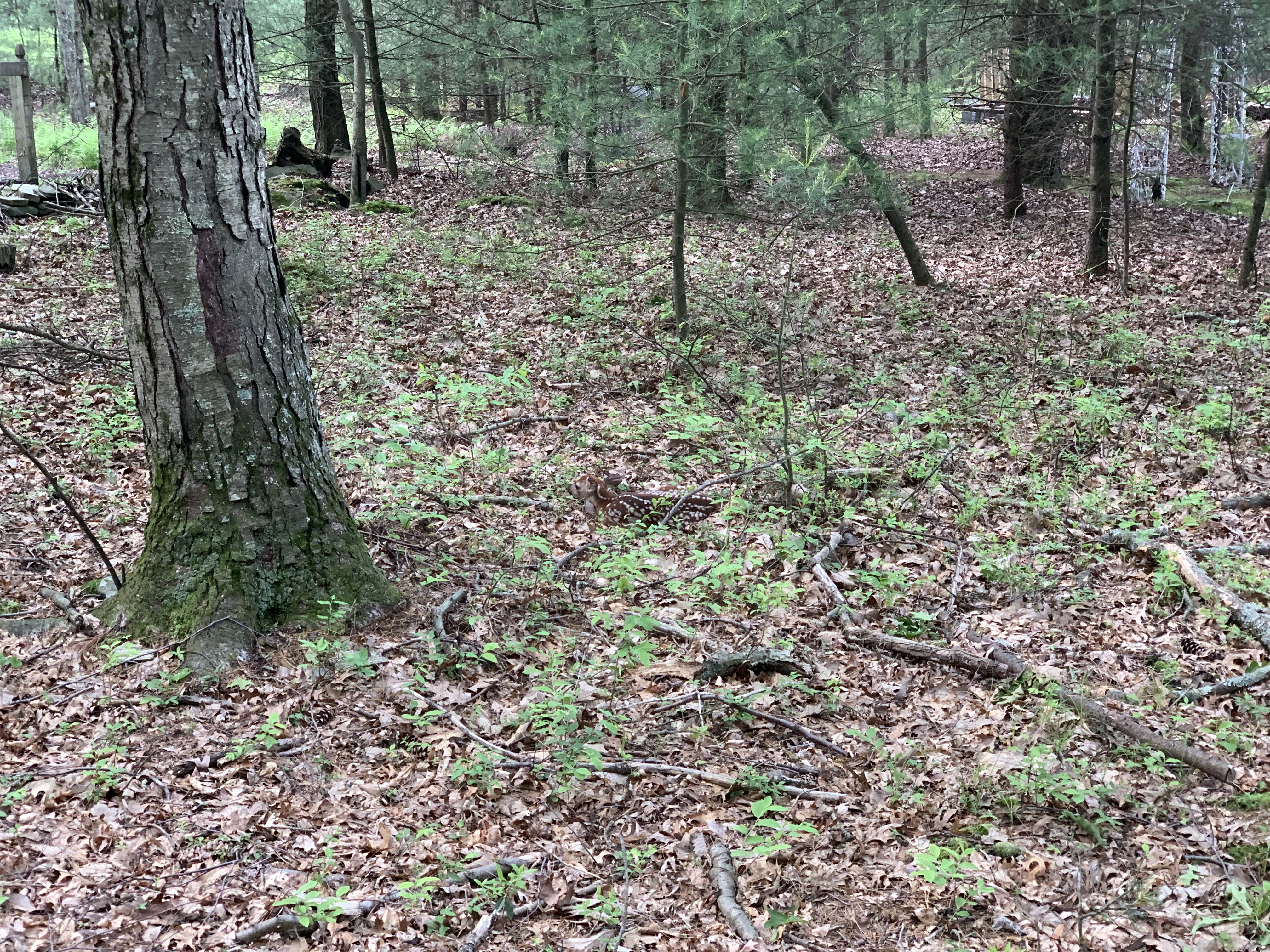 Can you see what it is yet?